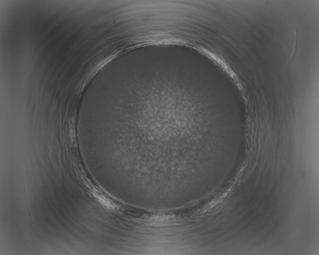 X0000084040889200702232322