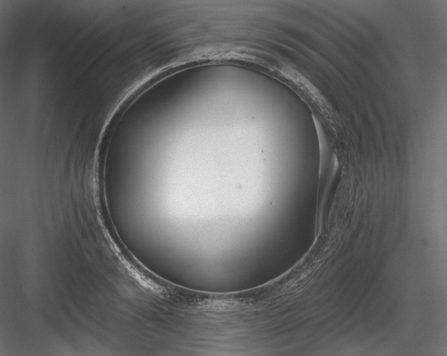 X0000084040894200702232322