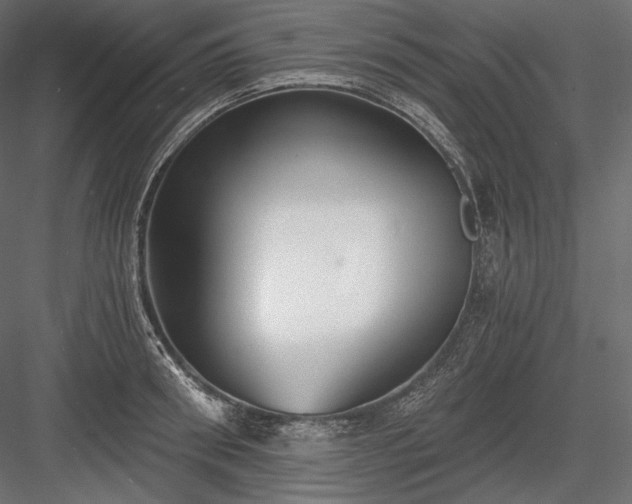 X0000084040898200702232322