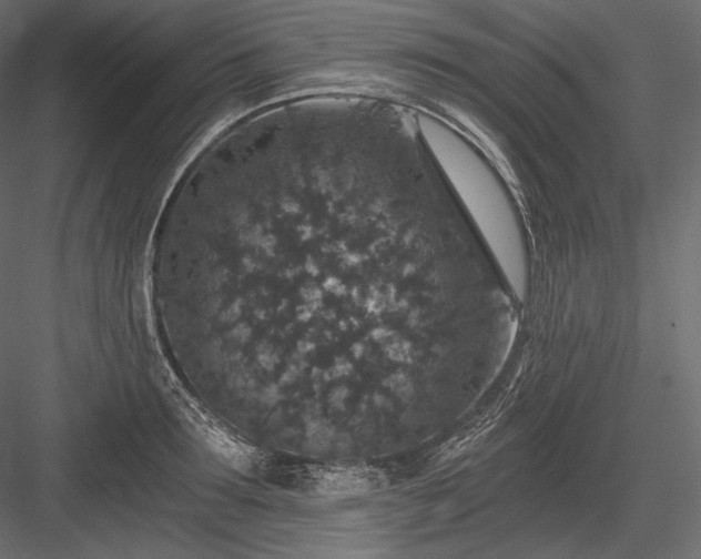 X0000084040899200702232322