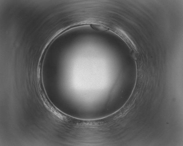 X0000084040900200702232322
