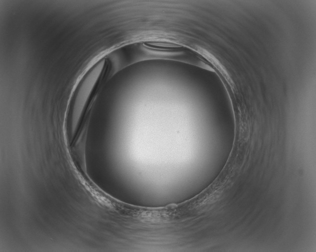 X0000084040901200702232322