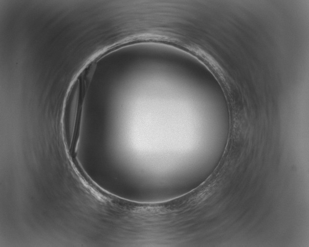 X0000084040902200702232322