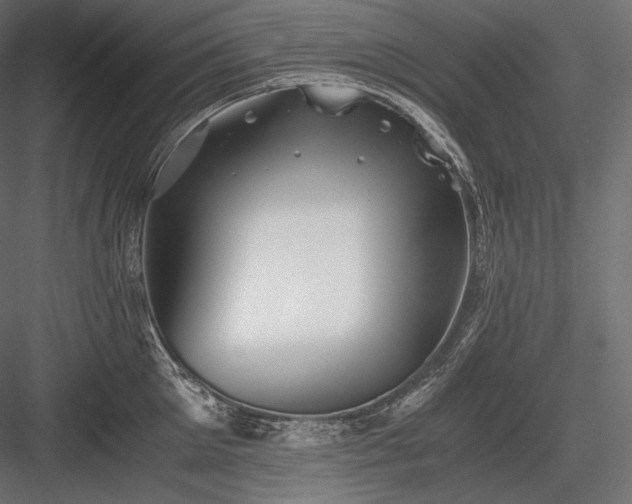 X0000084040905200702232321