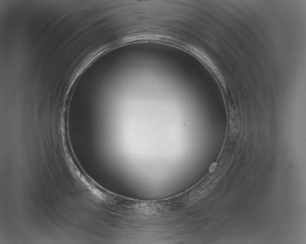 X0000084040906200702232321