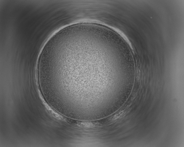 X0000084040911200702232321