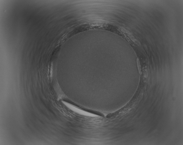 X0000084040916200702232321