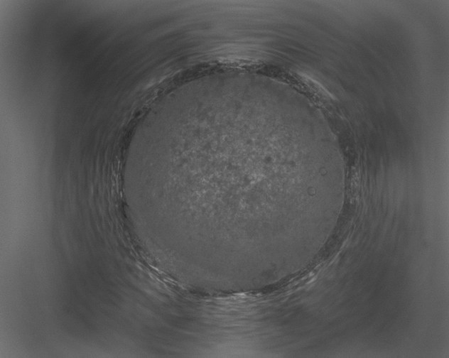 X0000084040917200702232321