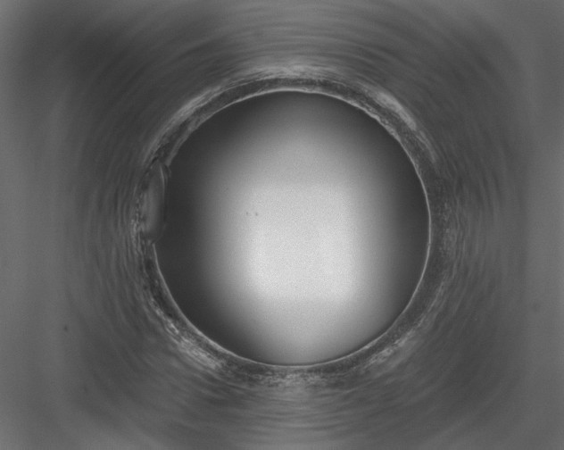X0000084040922200702232321