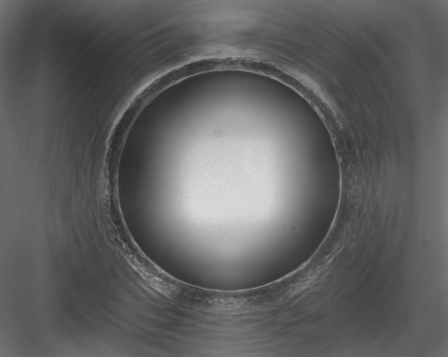 X0000084040927200702232321