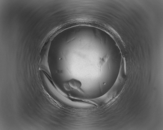 X0000084040930200702232321