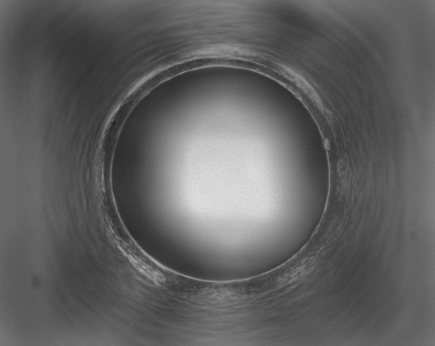 X0000084040931200702232321