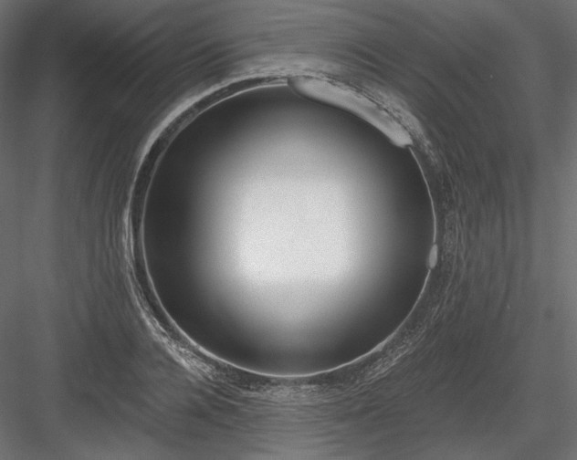 X0000084040936200702232321