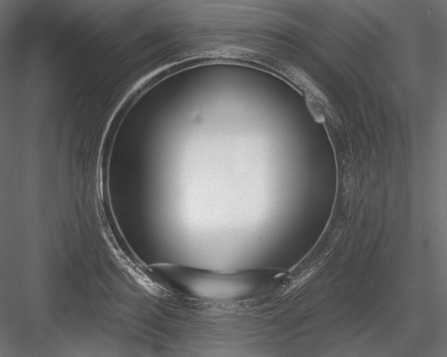 X0000084040940200702232321