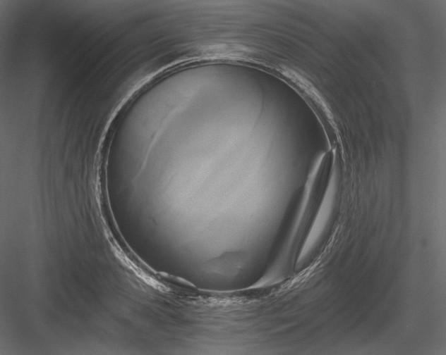 X0000084040941200702232321
