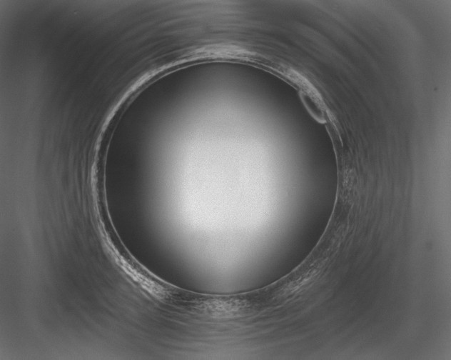 X0000084040947200702232321