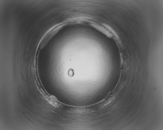 X0000084040948200702232321