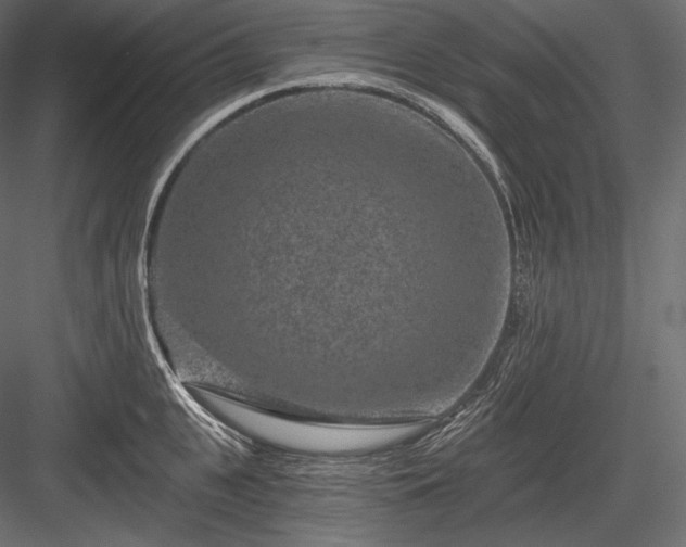X0000084040951200702232321