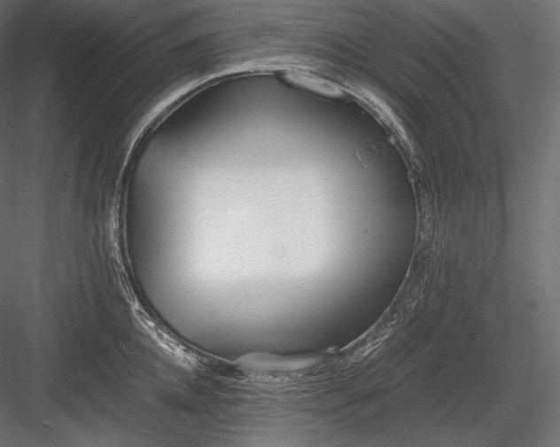 X0000084040952200702232321