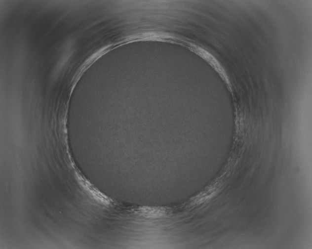 X0000084040954200702232321