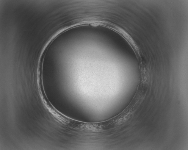 X0000084040955200702232321
