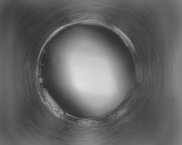 X0000084040956200702232321