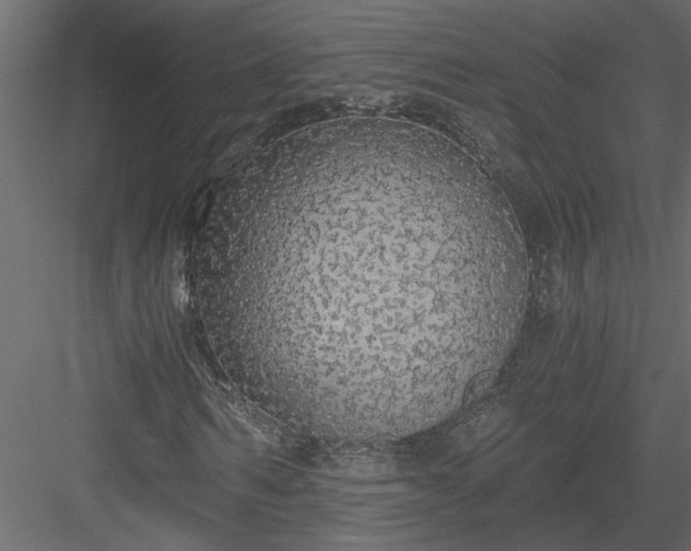X0000084040962200702232321