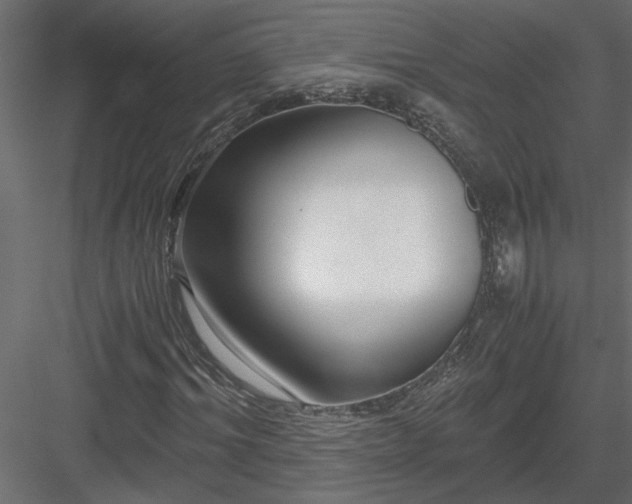 X0000084040964200702232320