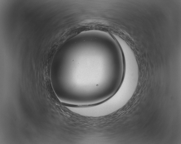 X0000084040965200702232320