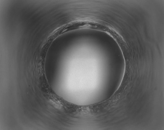 X0000084040968200702232320
