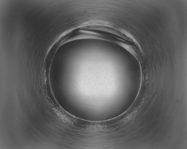 X0000084040973200702232320