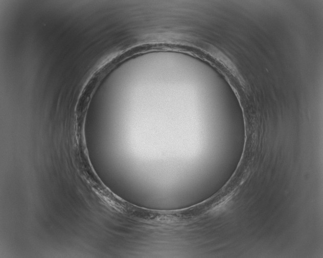 X0000084040974200702232320
