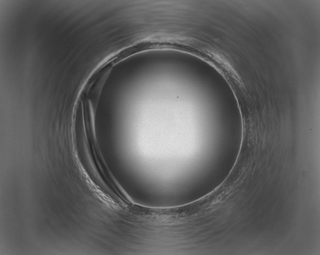 X0000084040976200702232320