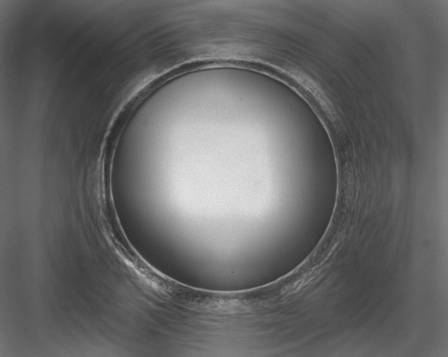X0000084040982200702232320