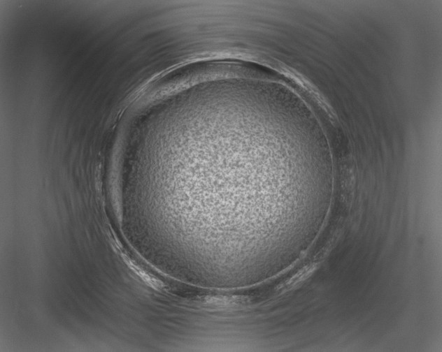X0000084040985200702232320