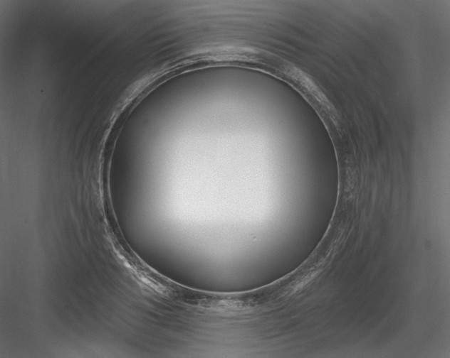 X0000084040986200702232320