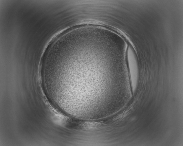 X0000084040987200702232320