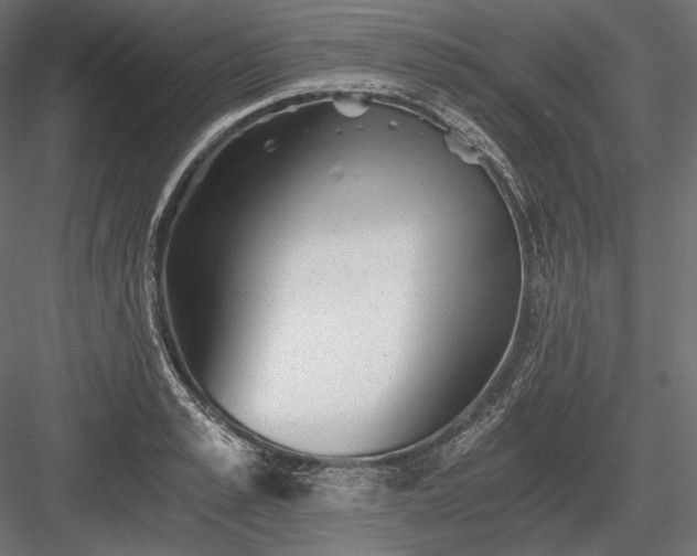 X0000084040989200702232320