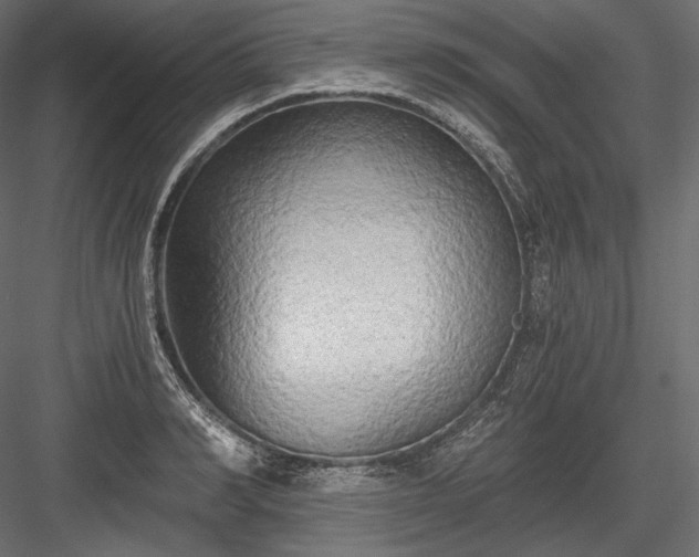 X0000084040990200702232320