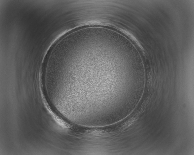 X0000084040991200702232320