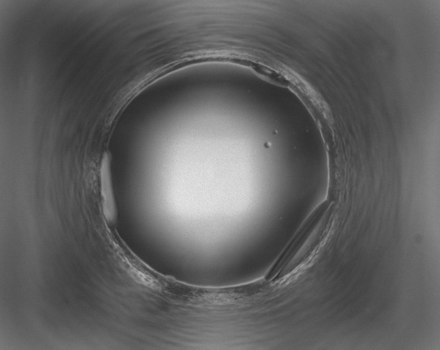 X0000084040993200702232320