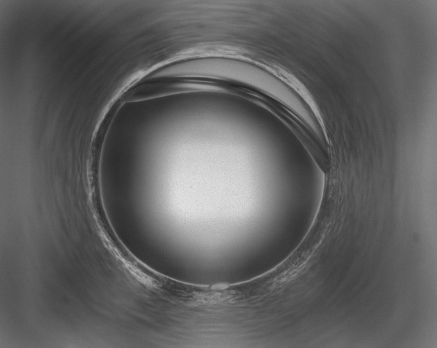 X0000084040997200702232320