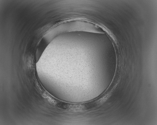 X0000084041001200702232320