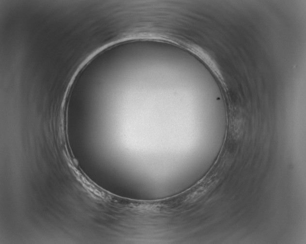 X0000084041004200702232320
