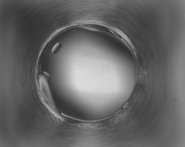 X0000084041005200702232320