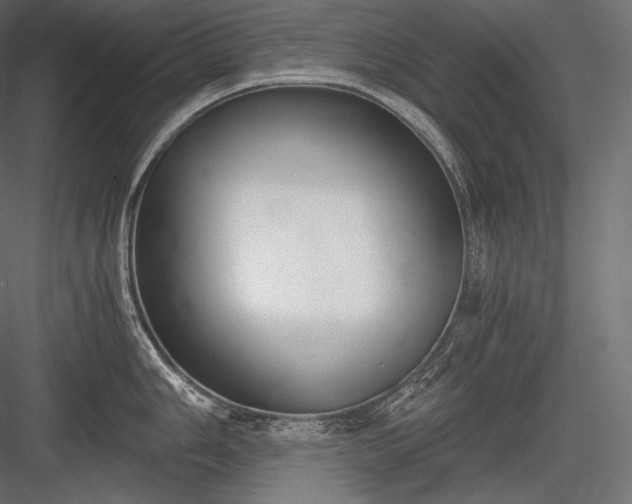 X0000084041006200702232320