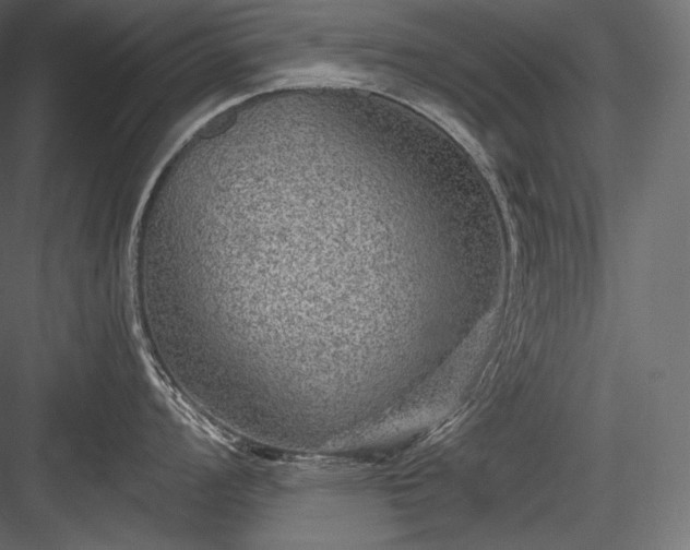 X0000084041008200702232320