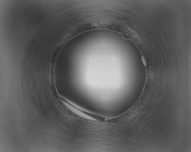 X0000084041012200702232319