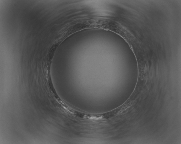 X0000084041013200702232319