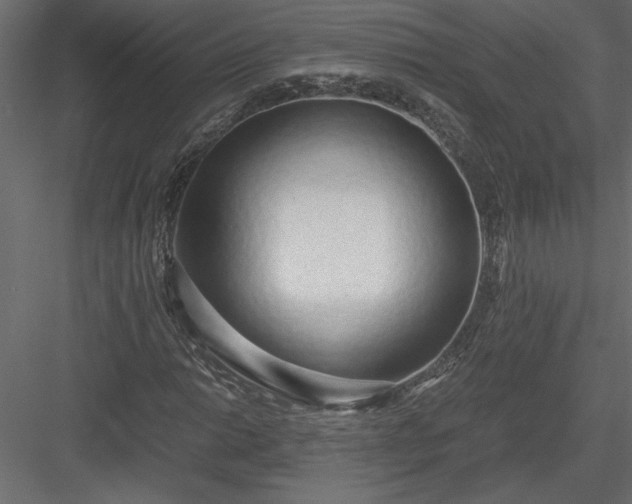 X0000084041014200702232319
